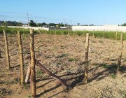 Terreno amplo em condomínio fechado na Praia Grande – Fundão/ES | 460m²