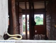 4ª CASA EM RESIDENCIAL CENTRO DA SERRA - SERRA/ES.