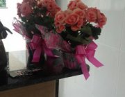 11ª CASA EM JARDIM CAMPO GRANDE - CARIACICA/ES