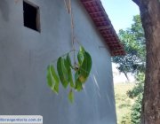 11ª CASA EM JARDIM CAMPO GRANDE - CARIACICA/ES