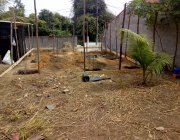 1ª CASA EM MORADA DE LARANJEIRAS