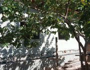 1ª CASA EM JARDIM MARILÂNCIA  - VILA VELHA/ES