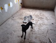 1ª CASA EM PONTA DA FRUTA - VILA VELHA - ES