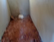 14ª CASA EM RESIDENCIAL CENTRO DA SERRA- SERRA