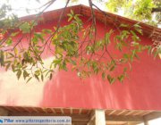 2ª CASA EM NOVA CARAPEBUS - SERRA ES