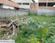 1ª CASA EM NELSON RAMOS CARIACICA - ES